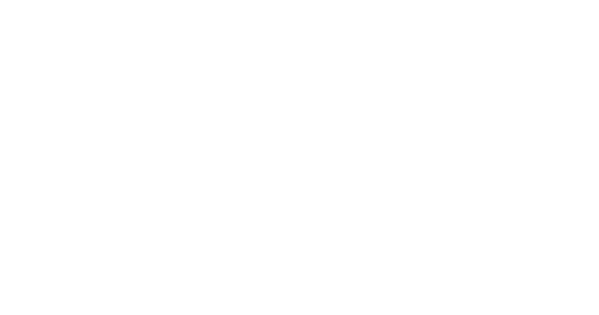 Vetra Academy
